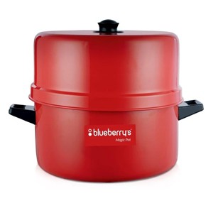 Blueberryâ€™s 1.5kg Aluminium Choodarapetty Rice Cooker with Pot