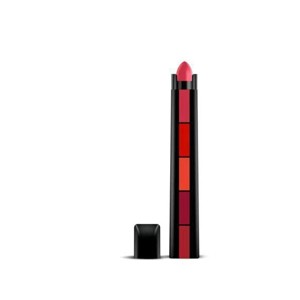 beauty 5 color in 1 lipstick pen matte finish makeup tools for girls multicolor lipstick pack of 1