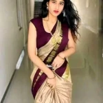 Cotton Silk Saree (Elephant Design)