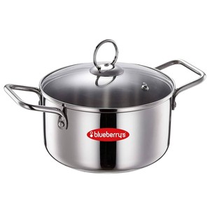 Blueberryâ€™s Premium Heavy Stainless Steel 24cm Stock Pot Cooking Pan with Glass Lid, 3 Ply Base, Induction Base