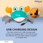 Bumtum Crawling Crab Musical Toy