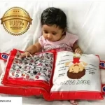 Learning Cushion Pillow Book (Red)